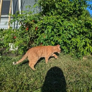 Meet your Posher, Jenny